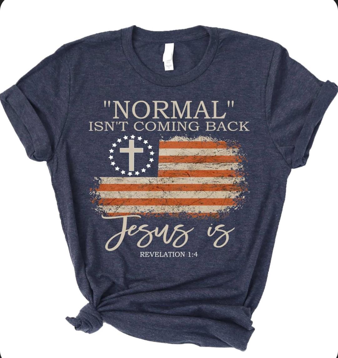 Normal-Jesus Is T-Shirt