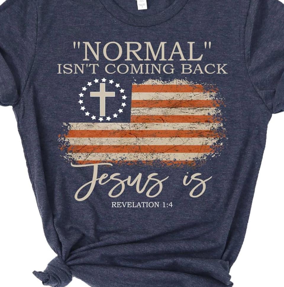 Normal-Jesus Is T-Shirt